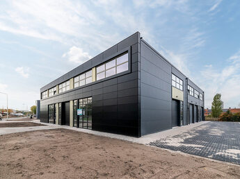254203116