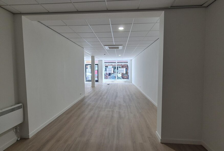 291201955