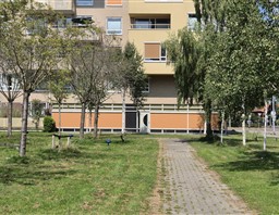 lotustuin-99-rotterdam foto 4